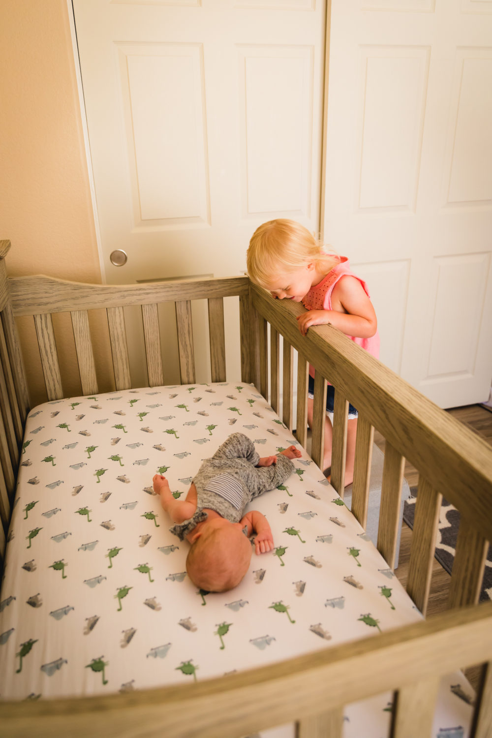 In-Home Newborn Photography Session