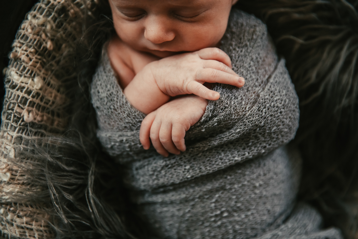 Newborn Professional Photographer Phoenix