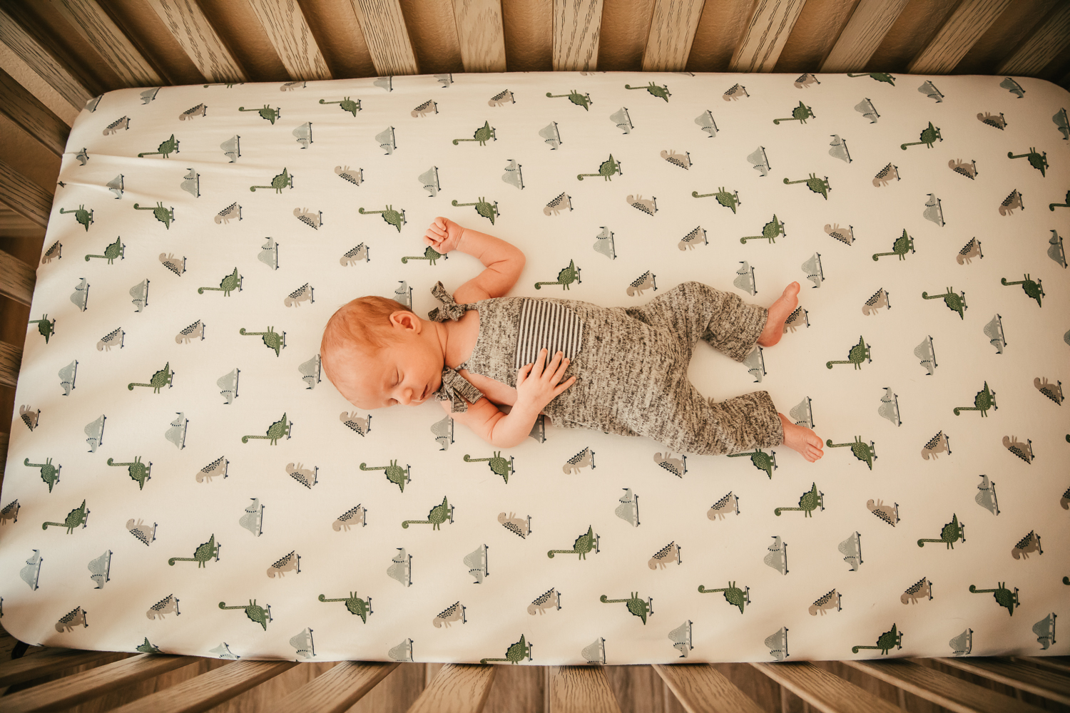 Newborn Professional Photographer Phoenix